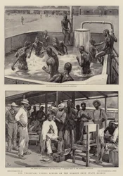 Kryzys w Transwalu, sceny na granicy Wolnego Państwa Pomarańczowego